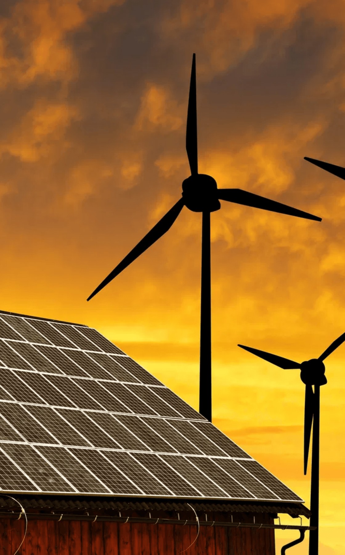 Renewable energy distribution application